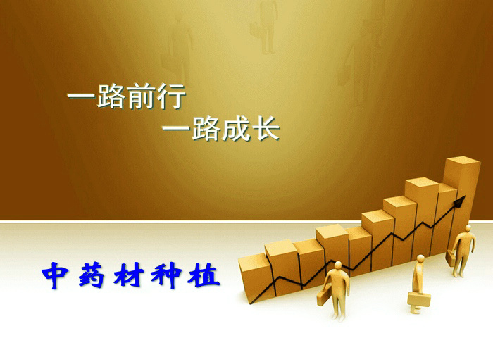 历程.jpg